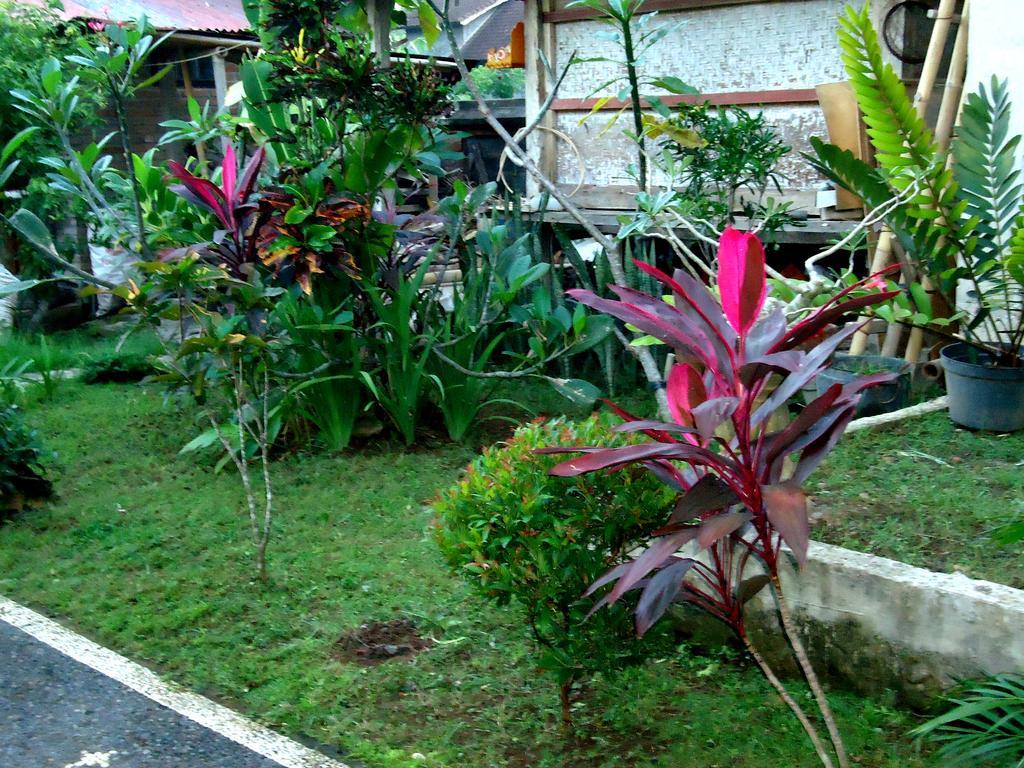 Dewa Put Guest House Ubud Buitenkant foto