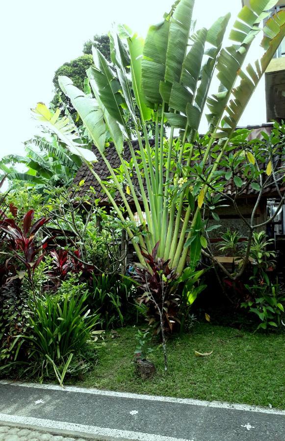 Dewa Put Guest House Ubud Buitenkant foto